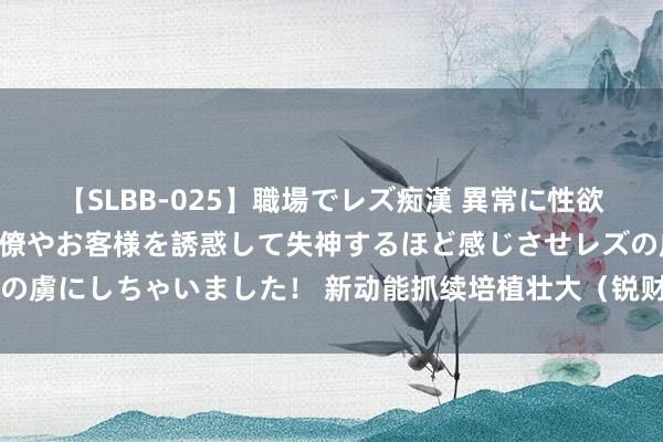 【SLBB-025】職場でレズ痴漢 異常に性欲の強い私（真性レズ）同僚やお客様を誘惑して失神するほど感じさせレズの虜にしちゃいました！ 新动能抓续培植壮大（锐财经·年中经济不雅察④）