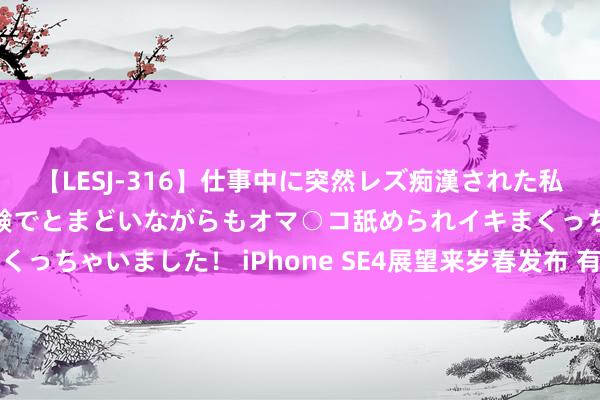 【LESJ-316】仕事中に突然レズ痴漢された私（ノンケ）初めての経験でとまどいながらもオマ○コ舐められイキまくっちゃいました！ iPhone SE4展望来岁春发布 有望搭载A18芯片