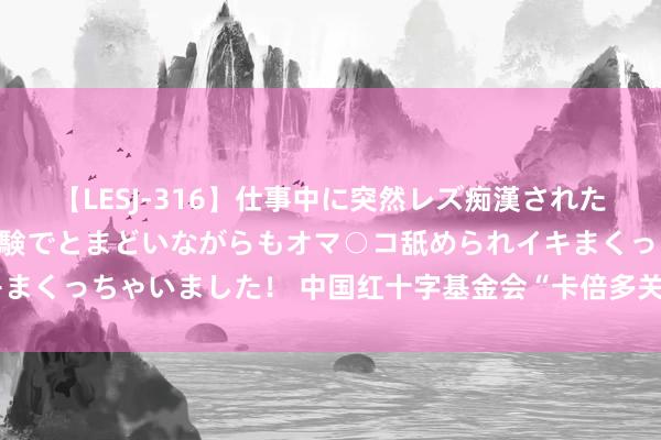 【LESJ-316】仕事中に突然レズ痴漢された私（ノンケ）初めての経験でとまどいながらもオマ○コ舐められイキまくっちゃいました！ 中国红十字基金会“卡倍多关爱算作”走进山西