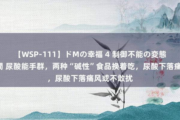 【WSP-111】ドMの幸福 4 制御不能の変態ボディ4時間 尿酸能手群，两种“碱性”食品换着吃，尿酸下落痛风或不敢扰