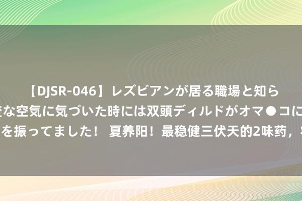 【DJSR-046】レズビアンが居る職場と知らずに来た私（ノンケ） 変な空気に気づいた時には双頭ディルドがオマ●コに挿入されて腰を振ってました！ 夏养阳！最稳健三伏天的2味药，将阳气补到根上 体质虚寒东说念主有福了