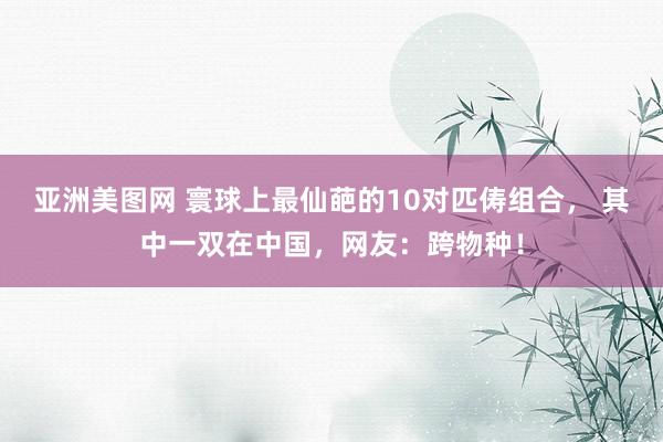 亚洲美图网 寰球上最仙葩的10对匹俦组合， 其中一双在中国，网友：跨物种！