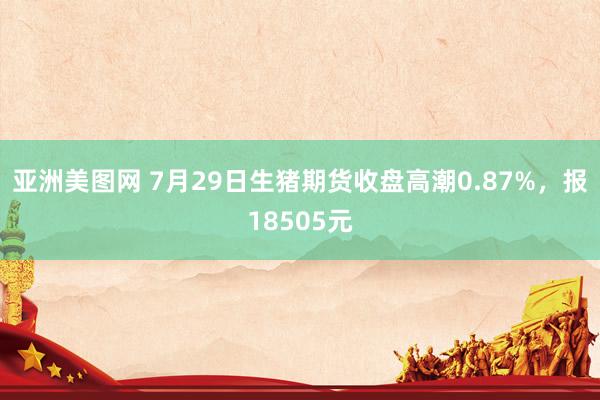 亚洲美图网 7月29日生猪期货收盘高潮0.87%，报18505元