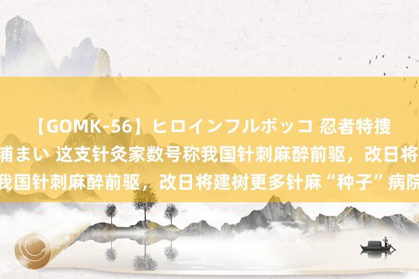 【GOMK-56】ヒロインフルボッコ 忍者特捜隊バードファイター 三浦まい 这支针灸家数号称我国针刺麻醉前驱，改日将建树更多针麻“种子”病院