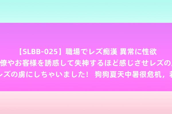 【SLBB-025】職場でレズ痴漢 異常に性欲の強い私（真性レズ）同僚やお客様を誘惑して失神するほど感じさせレズの虜にしちゃいました！ 狗狗夏天中暑很危机，若何让它们安心度夏