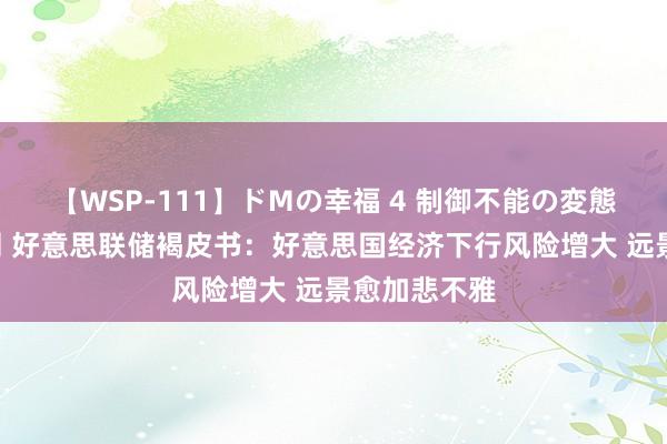 【WSP-111】ドMの幸福 4 制御不能の変態ボディ4時間 好意思联储褐皮书：好意思国经济下行风险增大 远景愈加悲不雅