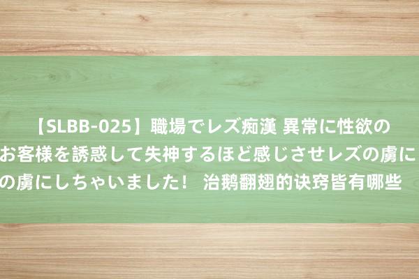 【SLBB-025】職場でレズ痴漢 異常に性欲の強い私（真性レズ）同僚やお客様を誘惑して失神するほど感じさせレズの虜にしちゃいました！ 治鹅翻翅的诀窍皆有哪些    怎样让小鹅不休翅