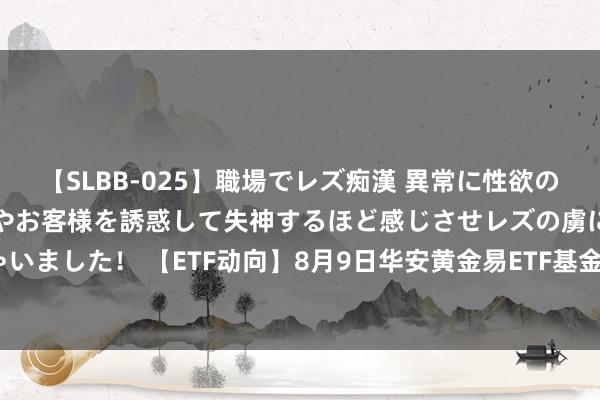 【SLBB-025】職場でレズ痴漢 異常に性欲の強い私（真性レズ）同僚やお客様を誘惑して失神するほど感じさせレズの虜にしちゃいました！ 【ETF动向】8月9日华安黄金易ETF基金涨0.88%，份额增多4680万份