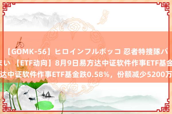 【GOMK-56】ヒロインフルボッコ 忍者特捜隊バードファイター 三浦まい 【ETF动向】8月9日易方达中证软件作事ETF基金跌0.58%，份额减少5200万份