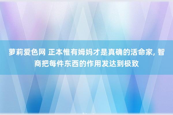 萝莉爱色网 正本惟有姆妈才是真确的活命家, 智商把每件东西的作用发达到极致