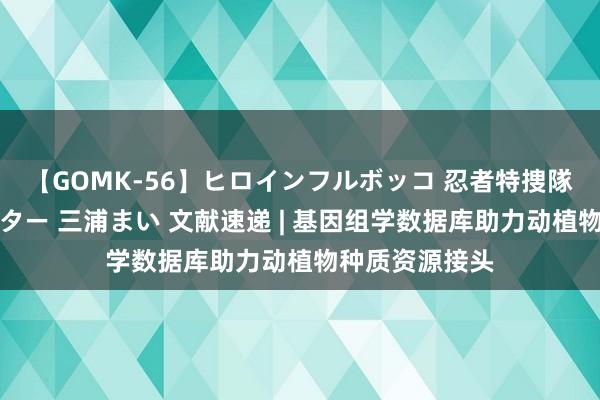 【GOMK-56】ヒロインフルボッコ 忍者特捜隊バードファイター 三浦まい 文献速递 | 基因组学数据库助力动植物种质资源接头