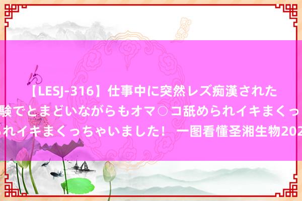 【LESJ-316】仕事中に突然レズ痴漢された私（ノンケ）初めての経験でとまどいながらもオマ○コ舐められイキまくっちゃいました！ 一图看懂圣湘生物2024年半年报