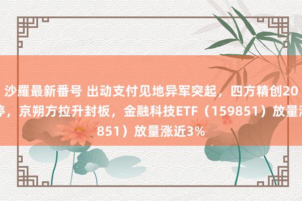 沙羅最新番号 出动支付见地异军突起，四方精创20CM涨停，京朔方拉升封板，金融科技ETF（159851）放量涨近3%