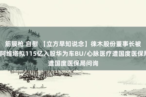 筋膜枪 自慰 【立方早知说念】徕木股份董事长被立案/阿维塔拟115亿入股华为车BU/心脉医疗遭国度医保局问询