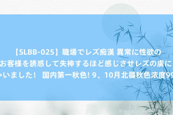 【SLBB-025】職場でレズ痴漢 異常に性欲の強い私（真性レズ）同僚やお客様を誘惑して失神するほど感じさせレズの虜にしちゃいました！ 国内第一秋色! 9、10月北疆秋色浓度99%, 去一回真是东说念主间值得