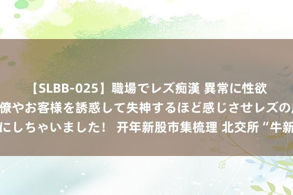 【SLBB-025】職場でレズ痴漢 異常に性欲の強い私（真性レズ）同僚やお客様を誘惑して失神するほど感じさせレズの虜にしちゃいました！ 开年新股市集梳理 北交所“牛新”频出 首只万元肉签已出炉