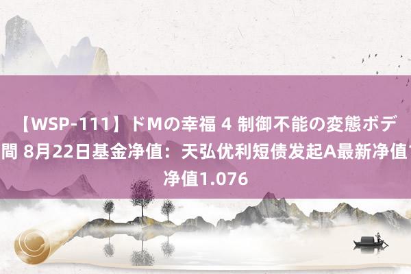 【WSP-111】ドMの幸福 4 制御不能の変態ボディ4時間 8月22日基金净值：天弘优利短债发起A最新净值1.076