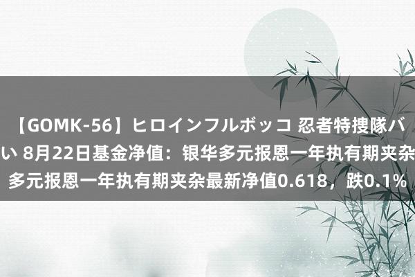 【GOMK-56】ヒロインフルボッコ 忍者特捜隊バードファイター 三浦まい 8月22日基金净值：银华多元报恩一年执有期夹杂最新净值0.618，跌0.1%