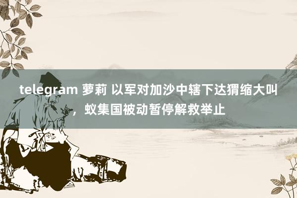 telegram 萝莉 以军对加沙中辖下达猬缩大叫，蚁集国被动暂停解救举止