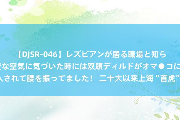 【DJSR-046】レズビアンが居る職場と知らずに来た私（ノンケ） 変な空気に気づいた時には双頭ディルドがオマ●コに挿入されて腰を振ってました！ 二十大以来上海“首虎”被判无期，21年间纳贿1.48亿