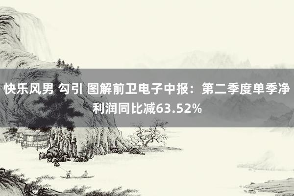 快乐风男 勾引 图解前卫电子中报：第二季度单季净利润同比减63.52%