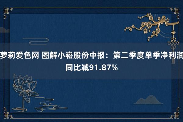 萝莉爱色网 图解小崧股份中报：第二季度单季净利润同比减91.87%