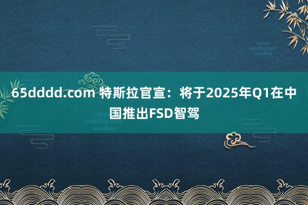 65dddd.com 特斯拉官宣：将于2025年Q1在中国推出FSD智驾