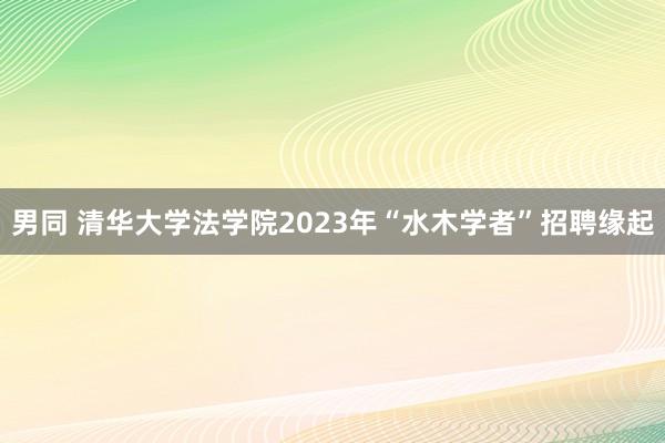 男同 清华大学法学院2023年“水木学者”招聘缘起