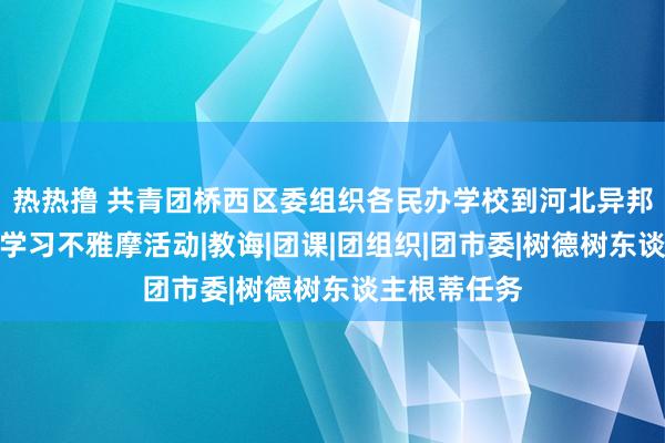 热热撸 共青团桥西区委组织各民办学校到河北异邦语学院开展学习不雅摩活动|教诲|团课|团组织|团市委|树德树东谈主根蒂任务