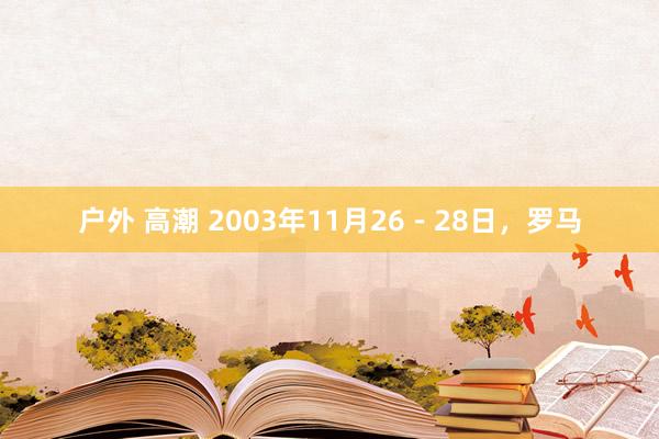 户外 高潮 2003年11月26－28日，罗马