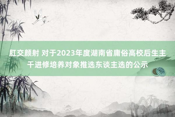 肛交颜射 对于2023年度湖南省庸俗高校后生主干进修培养对象推选东谈主选的公示