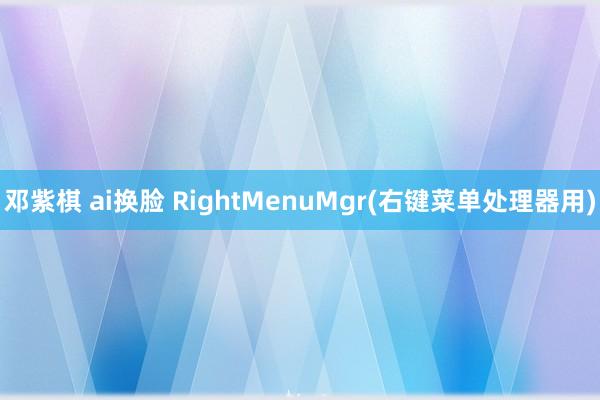 邓紫棋 ai换脸 RightMenuMgr(右键菜单处理器用)