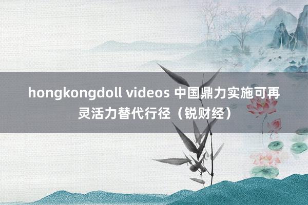 hongkongdoll videos 中国鼎力实施可再灵活力替代行径（锐财经）