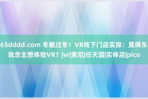 65dddd.com 冬眠过冬！VR线下门店实探：莫得东说念